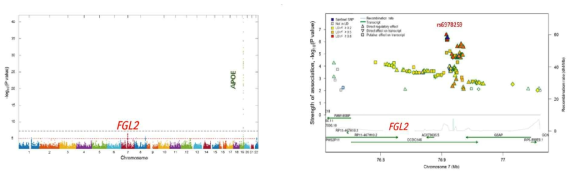 알츠하이머병 보호유전인자 SNP rs73375428 및 유전자 FGL2의 발굴