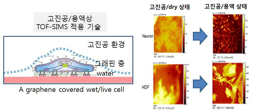 그래핀 층을 활용한 고진공하에서의 액체 상태 유지