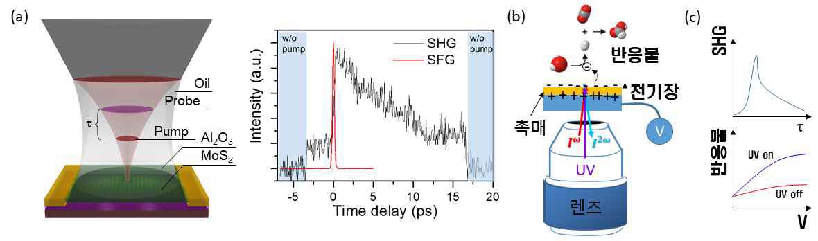 (a) 순간 이차고조파발생 (TSHG) 현미경을 이용한 MoS2 단층구조분석. 전장유도 방식을 적용해 촉매반응 측정에 적용한 (b) 개념도 및 (c) 예상결과