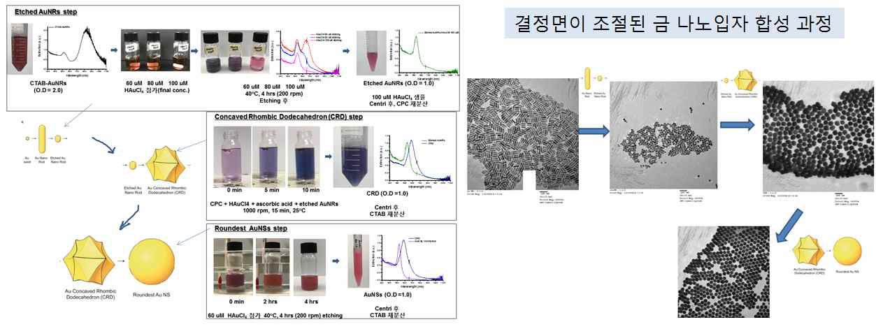 결정면이 조절된 금 나노입자의 합성 연구 수행 결과