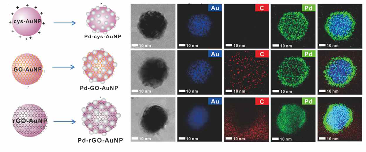 Au-graphene-Pd 나노촉매 합성 및 EDX mapping 분석 결과