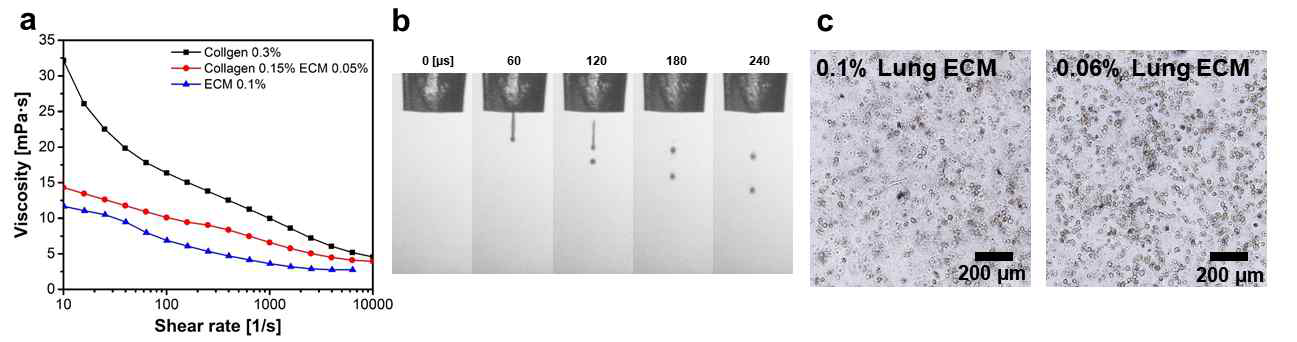 호흡기계 하이드로젤 (lung dECM) 검증 (a) 하이드로젤 잉크 및 혼합 잉크 제작과 물성 평가 (b) 잉크젯 프린팅 공정 최적화 (c) 하이드로젤 기반 섬유아세포 배양