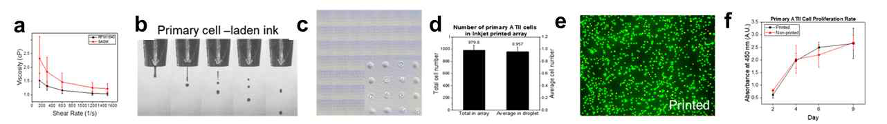 인체 폐 유래 일차세포의 잉크젯 프린팅 조건 최적화 (a) 세포 배양액 배지의 점성 분석 (b) 세포 담지 잉크의 젯팅 및 안정성 분석 (c,d) 개별 액적 내 평균 세포 수 파악 및 분석 (e,f) 잉크젯 프린팅 된 세포의 생존율 및 분화도 평가