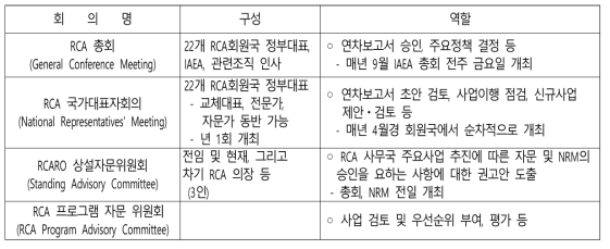 RCA 주요사항 결정 체제