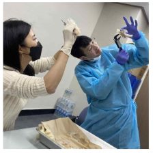 상어 두개골 실측하는 모습. 캘리퍼를 이용하여 측정하였으며, 실제 두개골 측정치는 한 명의 연구자가 일괄적으로 측정하였음