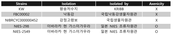 연구에 사용된 유해조류 M. aeruginosa 균주