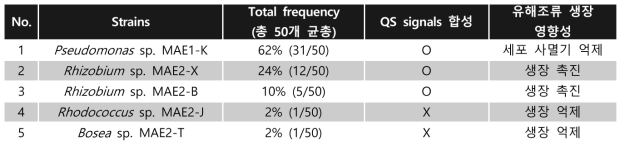 유해조류 KW 조류권내 배양가능 공생미생물 군집과 유해조류 NIES-298에 대한 생장 영향성