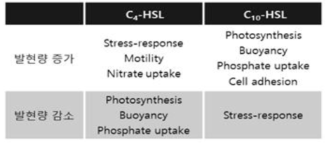 Transcriptomics 기반세균 유래 QS signal의 유해조류 NIES-298의 기능별 유전자 발현 변화량