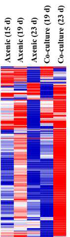 Transcriptomics 기반 공생미생물 Pseudomonas sp. MAE1-K에 의한 유해조류 순수배양체 NIES-298의 유전자 발현 양상