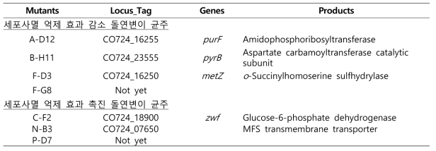 선발된 공생미생물 mutant의 transposon이 삽입된 유전자