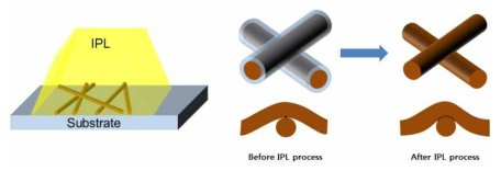 광소결 IPL(Intense Pulse Light) 공정 모식도