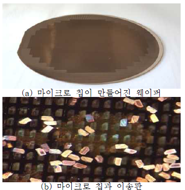 마이크로 칩과 이송판 (×40배)