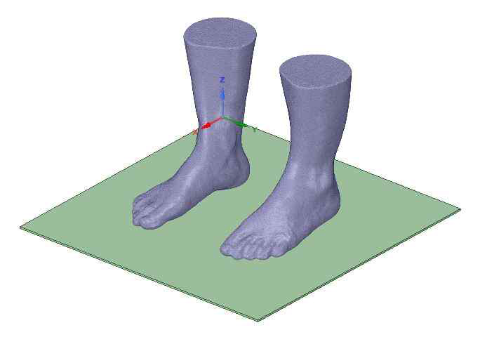 족부 CAD 모델