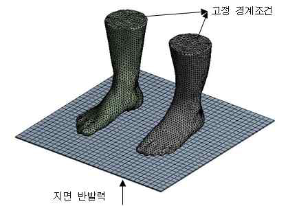 FE모델의 하중과 경계조건