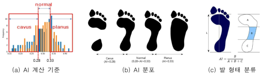 발 형태 구분에 사용된 수치와 기준