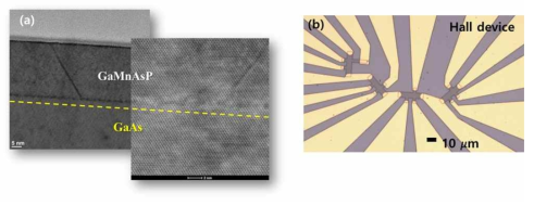 (a) 분자선 에피탁시 방법으로 성장한 GaMnAsP 박막의 단면 TEM 이미지. GaMnAsP 박막이 결정구조의 결함없이 고품질의 단결정으로 성장되었음을 알 수 있다. (b) 포토리소그래피 방법으로 GaMnAsP 박막시료에 여러 결정방향을 따라 제작한 10 μm 크기의 전자이송 실험용 홀 소자