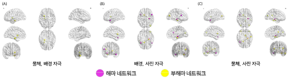 장면 자극에 따른 해마 및 부해마 네트워크