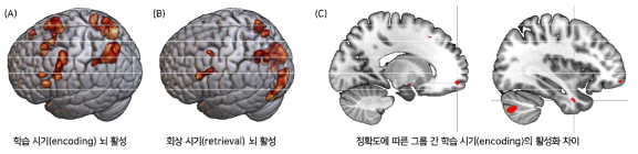 시간적 연합 과제 수행 시 뇌 활성화 지도