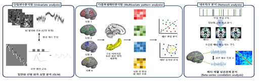 뇌 구조 및 기능 영상 데이터 분석 패러다임 요약