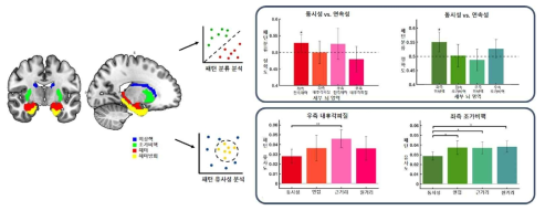 시간 관련 뇌 영역에 대한 다중복셀패턴분석 결과