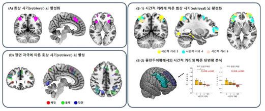 장면 자극 및 시간적 거리에 따른 뇌 활성 지도