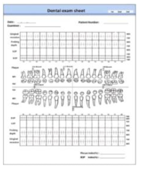 각종 평가변수를 반영한 구강 내 임상검사 서식