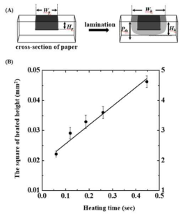 종이 기반 미세유체 장치에서 왁스 코팅과 열처리 시간에 따른 패턴 높이 상관관계