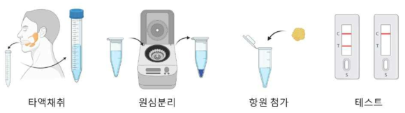 타액 버퍼 용액 제조를 위한 과정 모식도