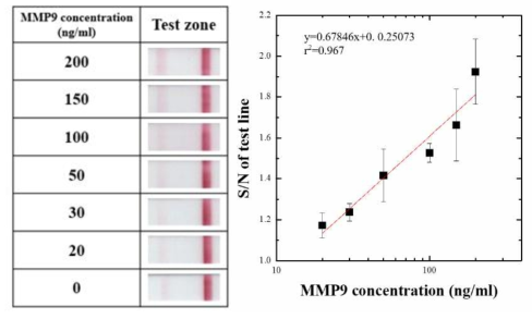 타액을 이용한 측방 유동 면역 분석 키트를 이용한 MMP9의 농도별 분석 이미지 및 검출선