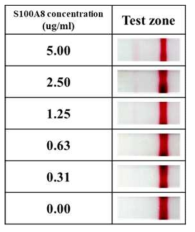 신호가 강화된 측방 유동 면역 분석 키트를 이용한 S100A8의 농도별 분석 이미지