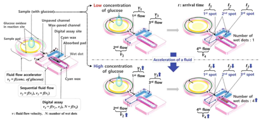 포도당 농도의 함수로 유체 속도의 차이를 육안으로도 간단하게 알 수 있는 디지털 어세이(3D-μPAD)장치