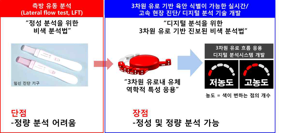 기존 측방 유동 분석의 한계점과 3차원 유로 기반 디지털 분석 기술