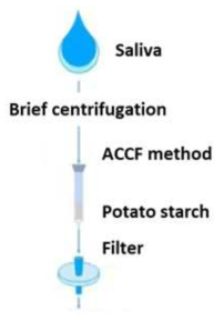 타액 샘플에서 아밀라아제를 제거하는 방법인 ACCF system 모식도