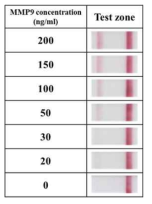 측방 유동 면역 분석 키트를 이용한 MMP9의 농도별 분석 이미지