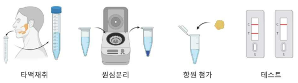 타액 버퍼 용액 제조를 위한 과정 모식도