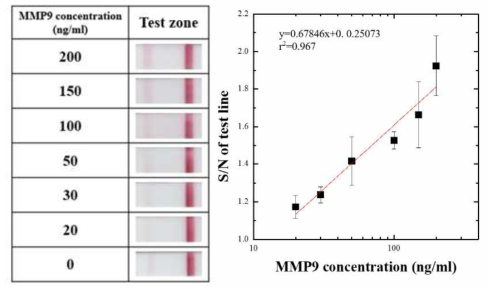 타액을 이용한 측방 유동 면역 분석 키트를 이용한 MMP9의 농도별 분석 이미지 및 검출선