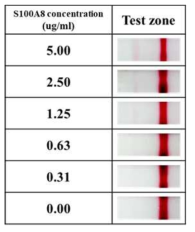 신호가 강화된 측방 유동 면역 분석 키트를 이용한 S100A8의 농도별 분석 이미지