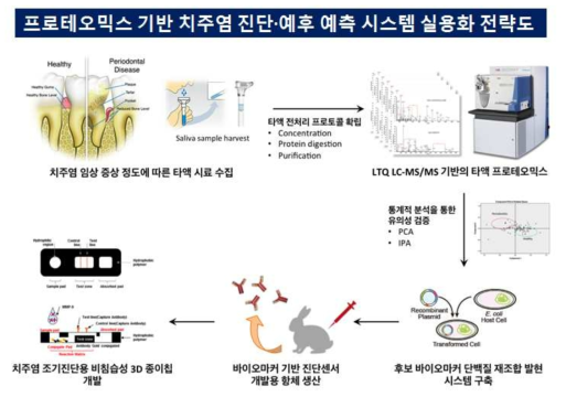 프로테오믹스 기반 치주염 진단·예후 예측 시스템 실용화 전략도