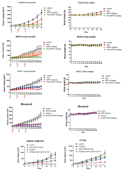 다양한 종양 모델에서 MPD-1 + 방사선조사 병용 치료 효과