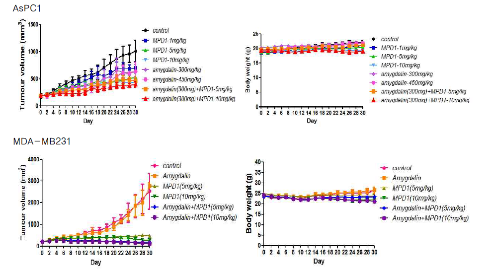 Amygdalin 투여에 의한 AsPC1과 MDA-MB231 종양의 성장곡선 및 체중 변화