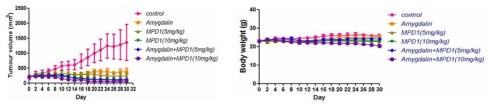 Mia-PaCa2 췌장암 모델: MPD-1/amygdalin 병용요법의 치료효능 및 체중변화 곡선