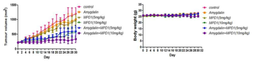 Pan02 췌장암 모델에서 MPD-1과 amygdalin 병용요법의 치료효능 및 체중 변화 곡선