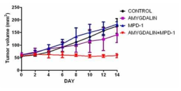 Amygdalin과 MPD-1의 투여 후 PAN02 종양의 성장 곡선