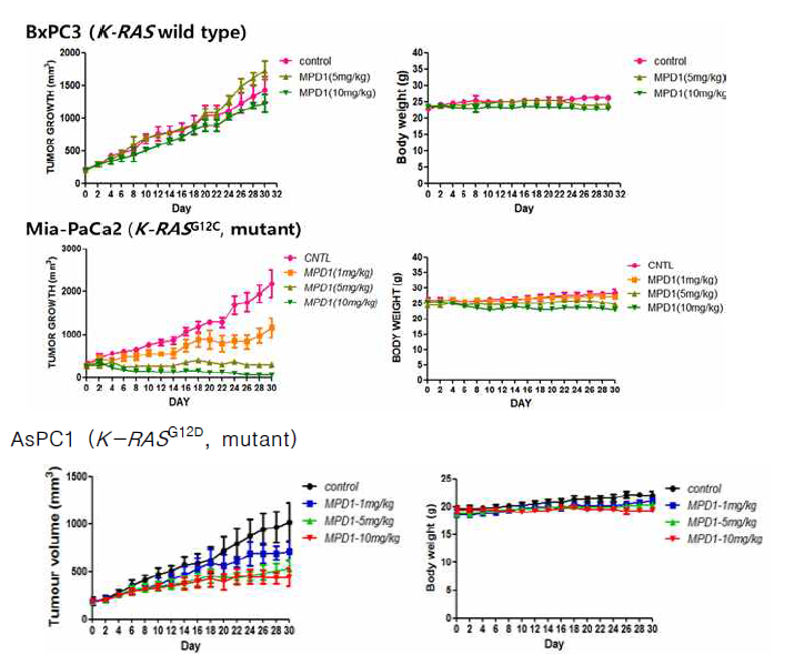 췌장암 종양 이식 마우스에서 MPD-1의 종양 성장 억제 효과 및 체중 변화