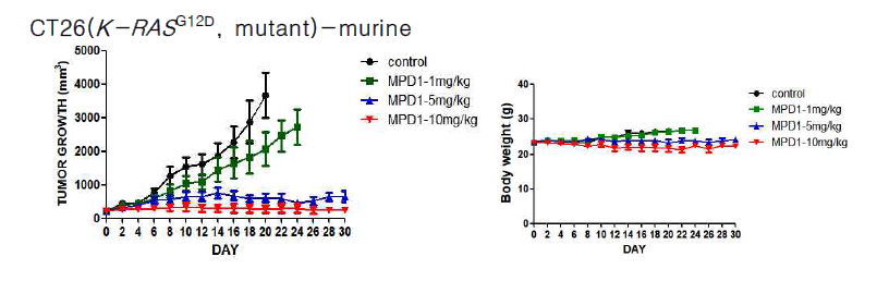 K-RAS 유전자 변이 대장암 모델의 MPD-1 종양 성장 억제 효과 및 체중 변화