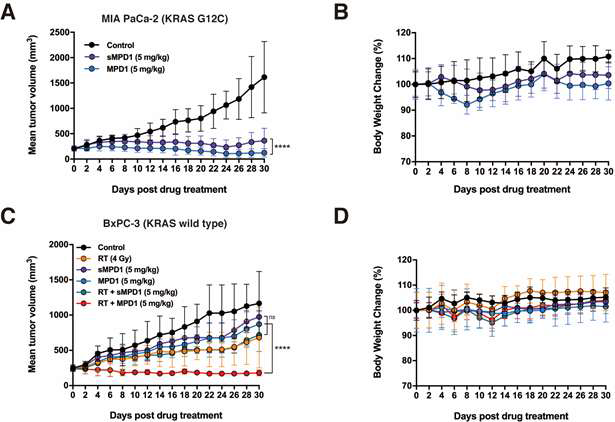 caspase-3에 의해 활성화되지 않는 대조약 sMPD-1(EMC-KGDVED-doxorubicin)과 효능 비교를 통한 MPD-1 내 DEVD 펩타이드의 기능 평가 A. Mia-PaCa2 종양 이식 마우스 모델의 종양 성장 곡선 (doxorubicin 함량 기준 5 mg/kg, 1회/2일 투여, n=5). B. A의 체중 변화 곡선 C. BxPC3 종양 이식 마우스 모델의 종양 성장 곡선 (방사선치료; 4 Gy, doxorubicin 함량 기준 5 mg/kg, 1회/2일 투여, n=5). D. C의 체중 변화 곡선