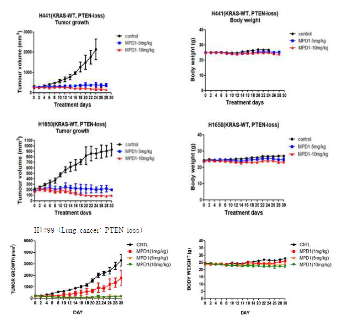 3종의 PTEN 결손 폐암 모델에서 MPD-1의 종양 성장 억제 효과와 체중 변화
