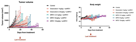 다양한 용량의 MPD-1 + Anti-PD1 병용 시험