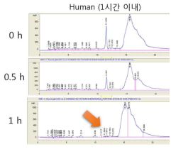 human serum albumin과 MPD-1의 혼합 용액의 시간 경과에 따른 HPLC 데이터