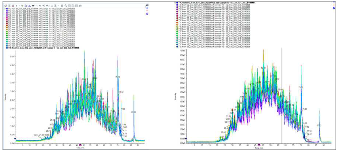 단백질 질량분석 원자료(total ion chromatogram, TIC)